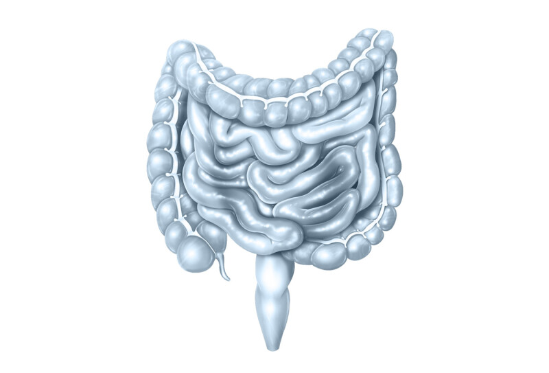 Maladies Inflamatoires Chroniques Intestinales (MICI)